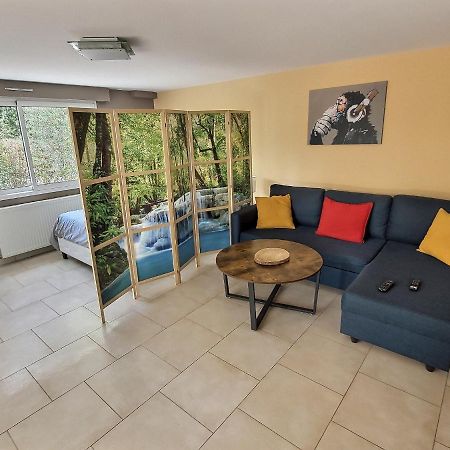 Le Rocher De Bel Air -40M2 -Chaleureux 3 Etoiles Saint-Aignan-Grand-Lieu Экстерьер фото